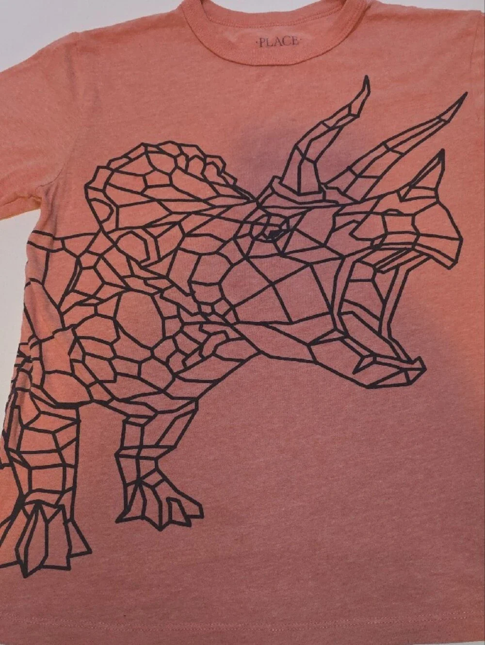 The Children's Place Coral Short Sleeve Tee with Black Geometric Triceratops